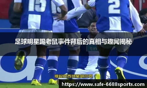 6688体育官方网站